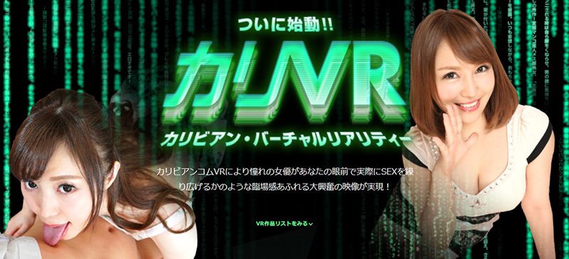 カリVR シリーズとは